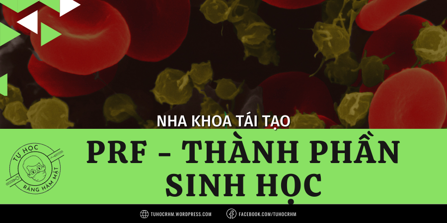 Thành Phần Sinh Học Của PRF: Tế Bào & Yếu Tố Tăng Trưởng (2026)