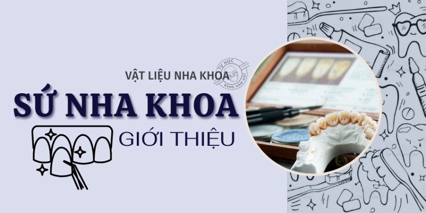 Sứ Nha Khoa Là Gì? Lịch Sử, Cấu Tạo & Phân Loại Các Hệ Thống (2026)