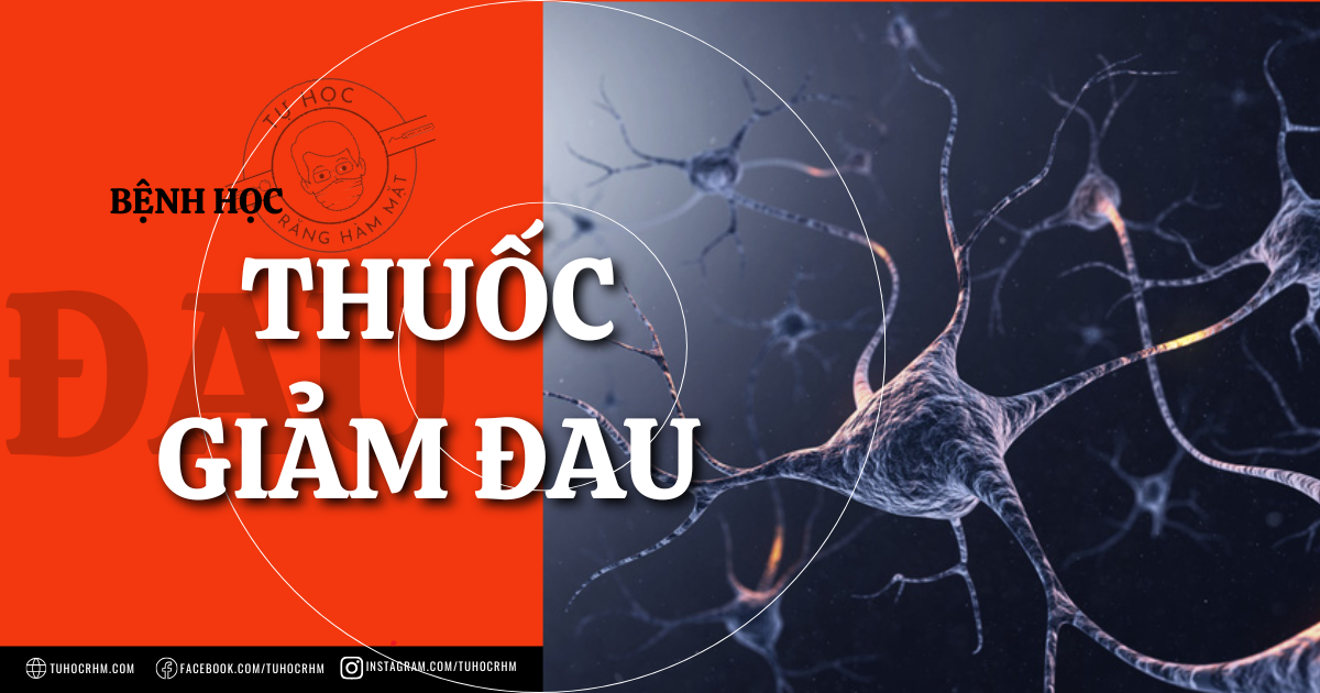 Thuốc Giảm Đau Trong Nha Khoa: Phân Loại & Chỉ Định Kê Đơn (2026)