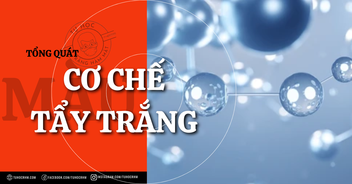 Cơ Chế Tẩy Trắng Răng Bằng Peroxide: Phân Tích 3 Giai Đoạn (2026)