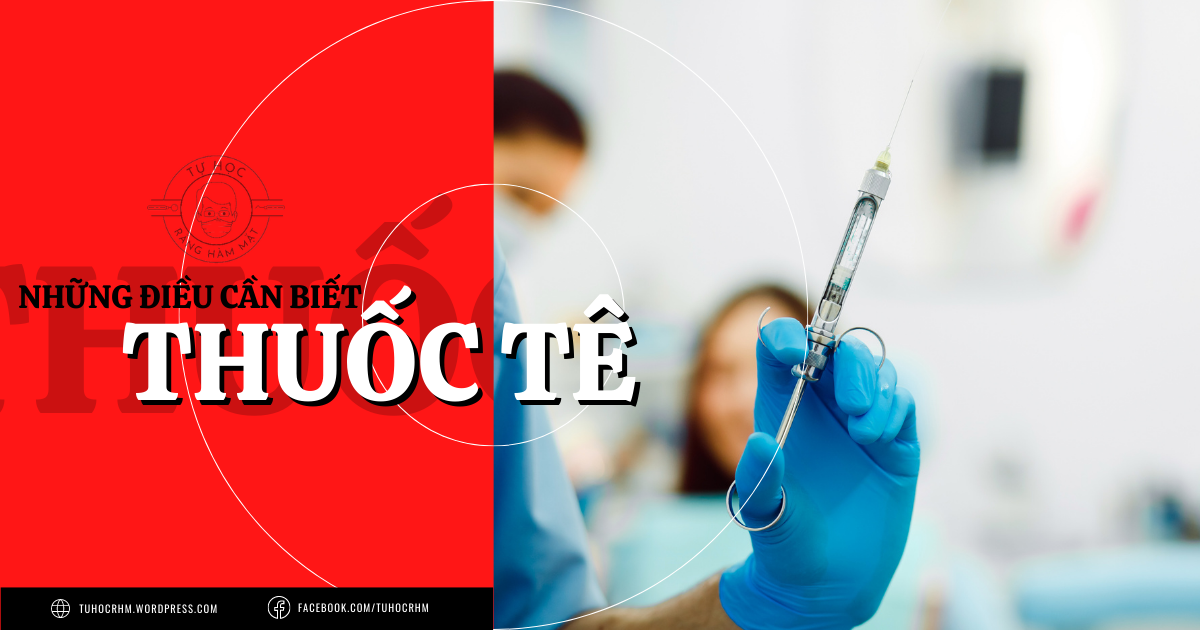 Thuốc Tê Nha Khoa: Cơ Chế Hoạt Động & Động Học Dẫn Truyền (2026)