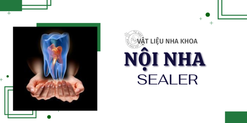 Sealer Nội Nha & MTA: Phân Loại, Tính Chất, Ứng Dụng (2026)