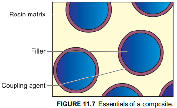Thành Phần Của Composite Nha Khoa: Resin, Hạt Độn & Silane (2026)