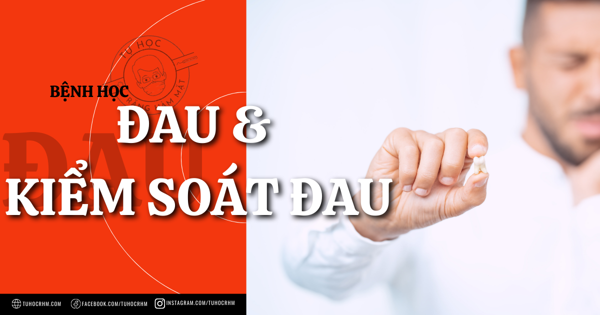 Chỉnh Nha Duy Trì: Tại Sao Cần Thiết & Các Phương Pháp (2026)