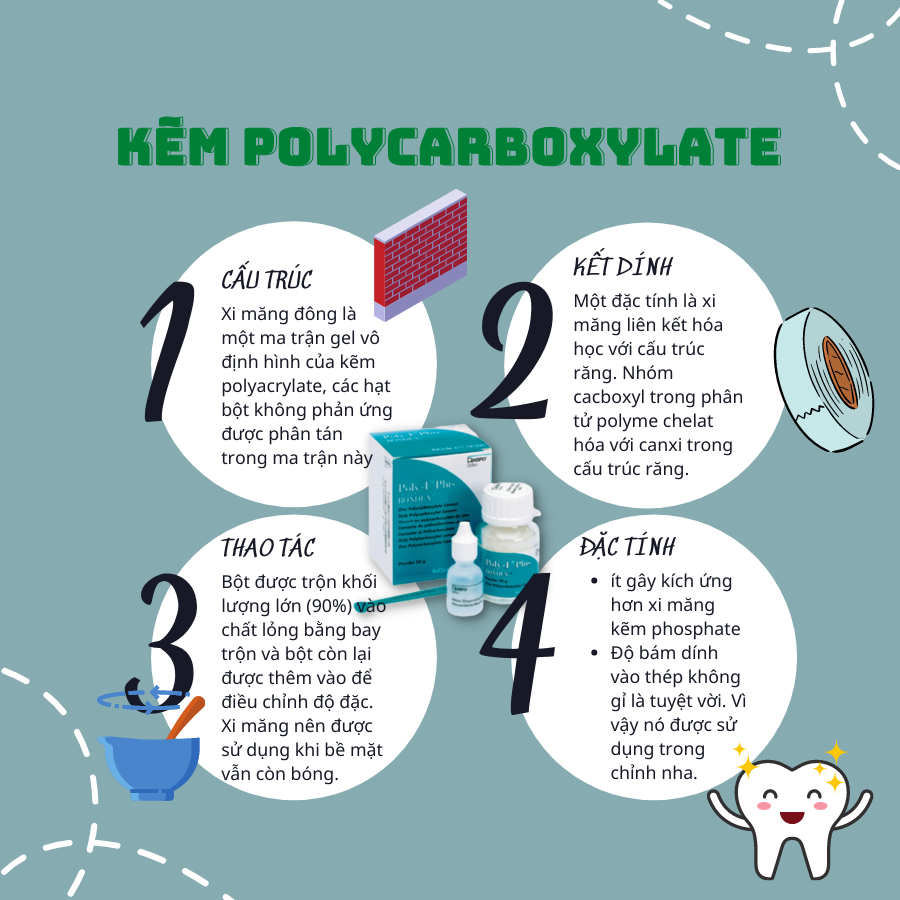 Xi Măng Kẽm Polycarboxylate (Zinc Polycarboxylate Cement) 2026